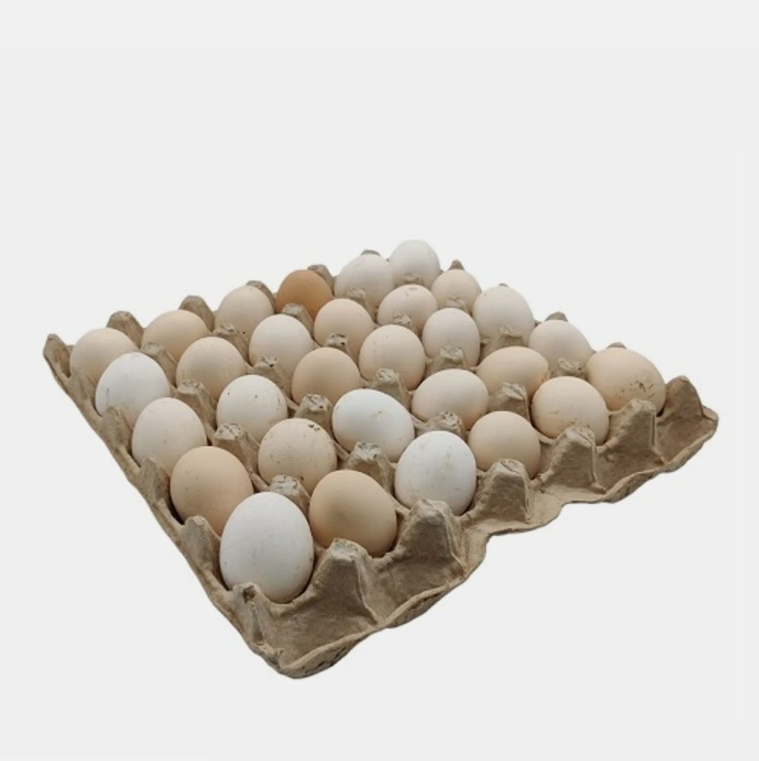 الخير بيض بلدي 30 ق