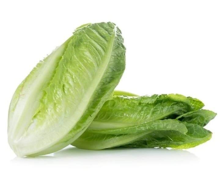 خس بلدي جوهرة مدينة نصر