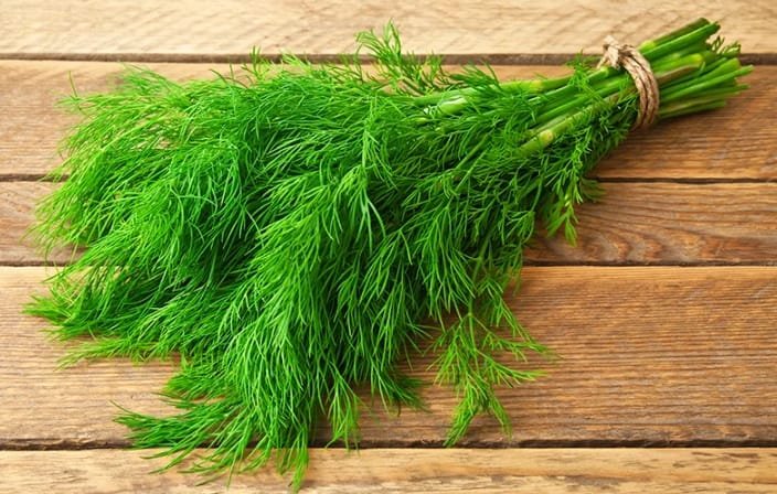 شبت جوهرة مدينة نتصر