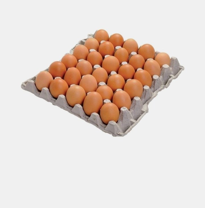 الرريف الاوروبي بيض احمر 30 ق