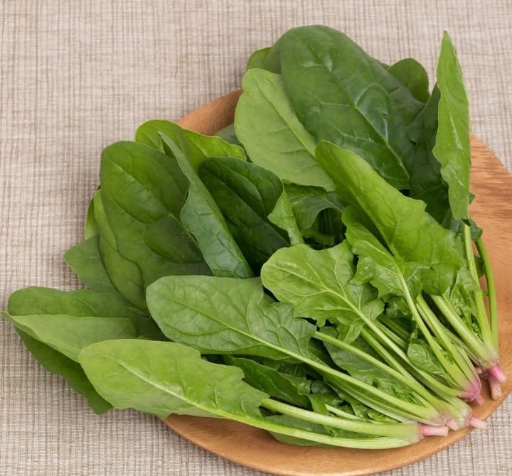 سبانخ جوهرة مدينة نصر