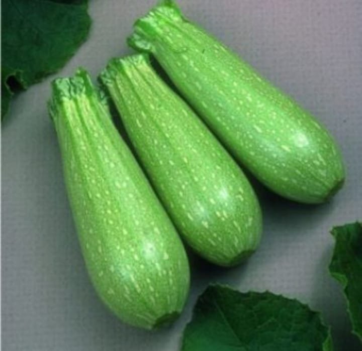 كوسه 1كيلو جوهرة مدينة نصر